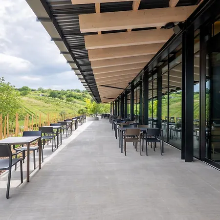 Artevini & Winery 4*